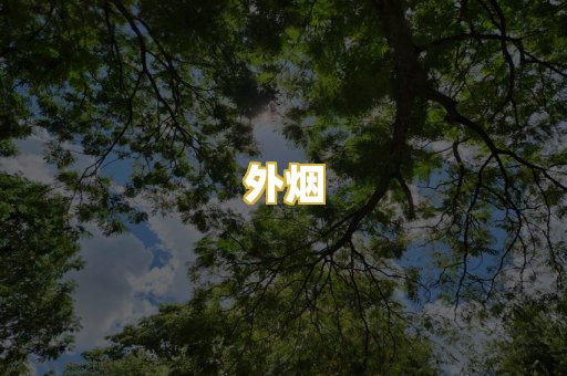 外烟